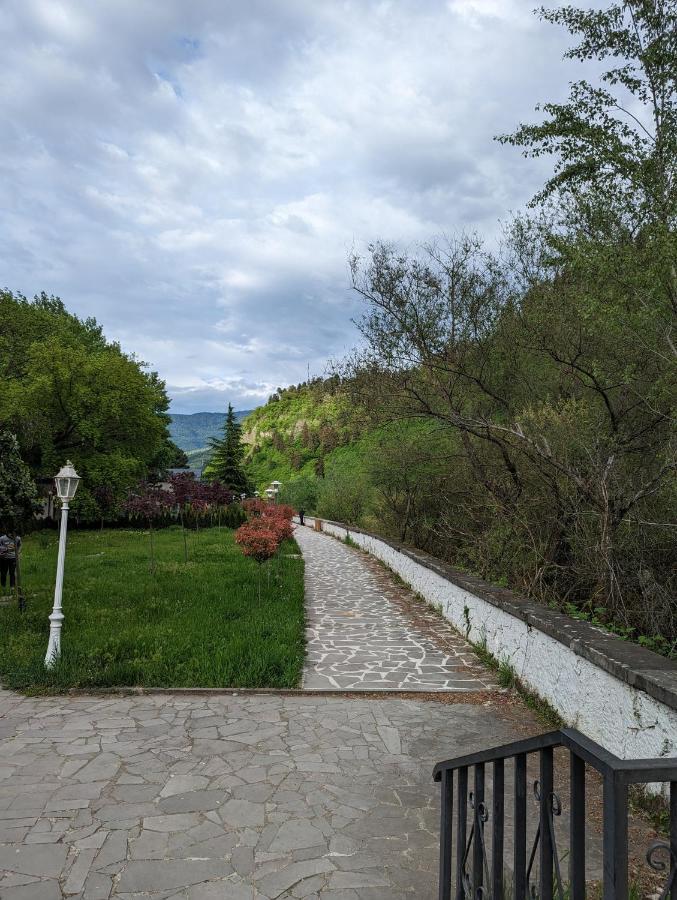 Gari'S Apartment Next To Borjomi Central Park Extérieur photo